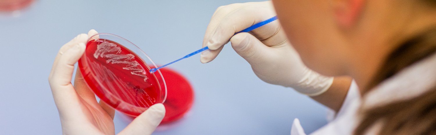 Exomed GmbH | Veterinärlabor: Expertise für Tiergesundheit